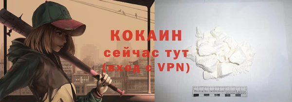 дживик Лагань